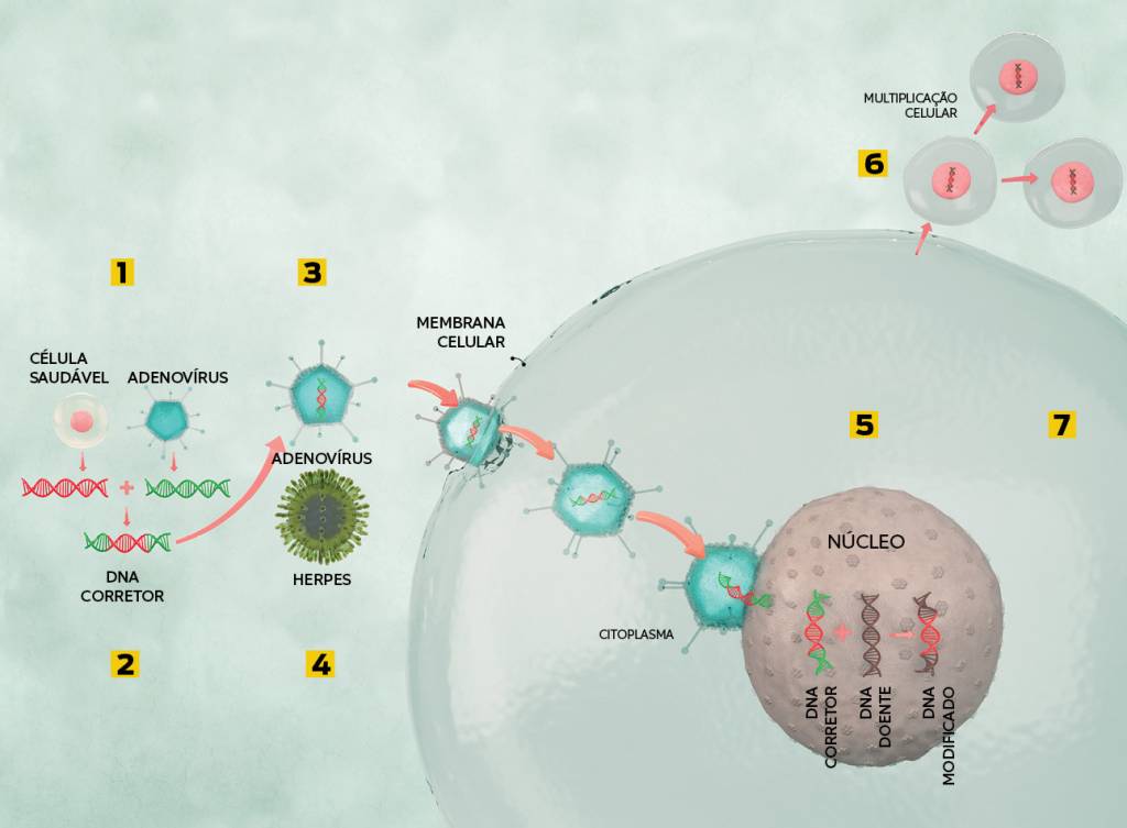 Como é feita a terapia genética?