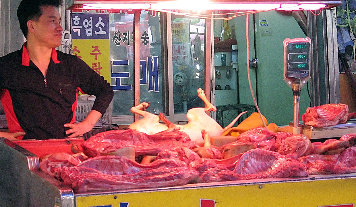 carne de cachorro