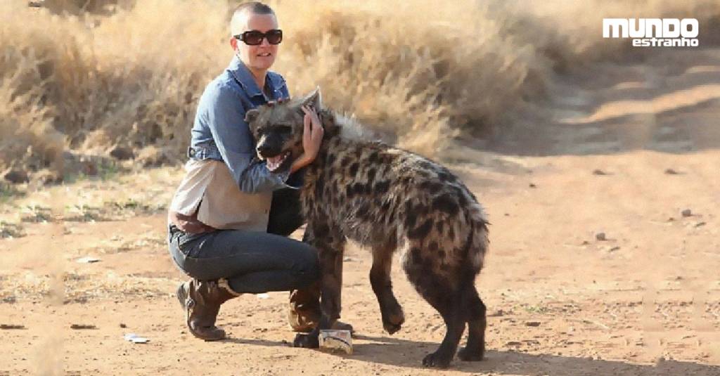 Os 10 animais de estimação mais bizarros do mundo