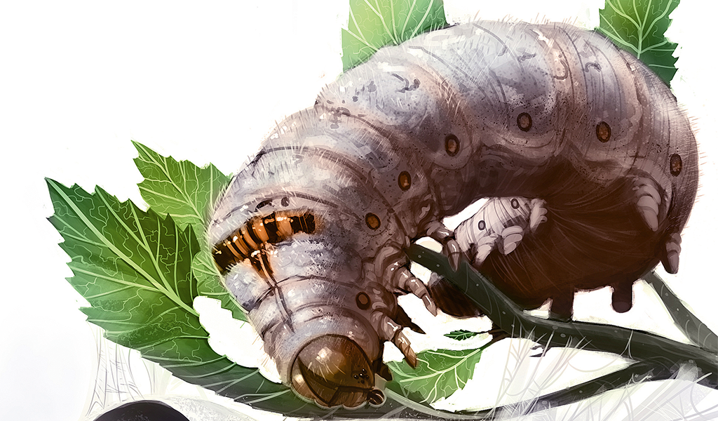 Como é fabricada a seda?