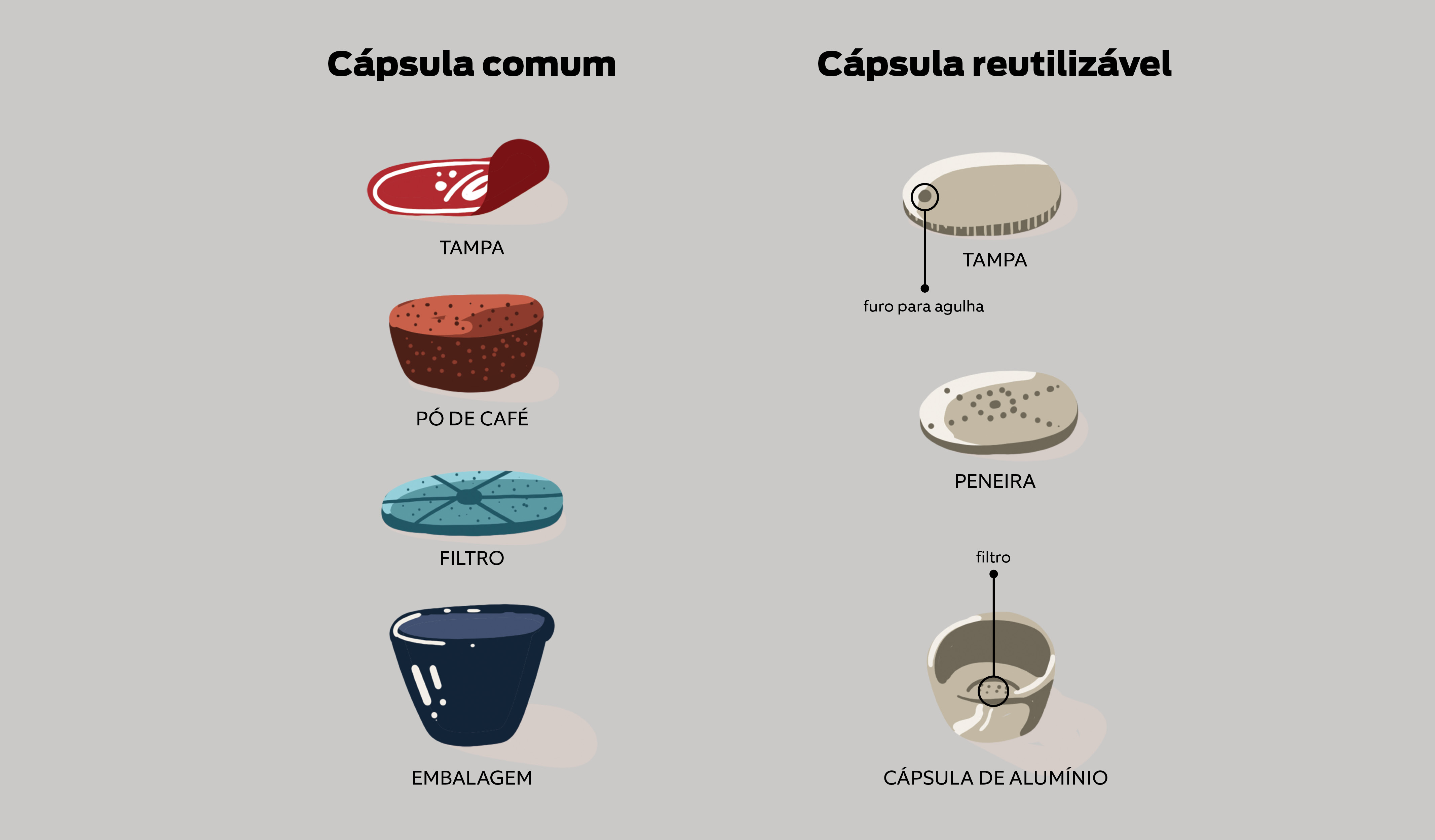 CapsulaComumReutilizavel2