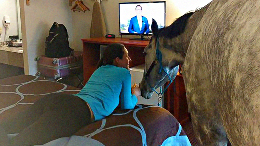 Mulher testa limites de hotel e leva cavalo para seu quarto