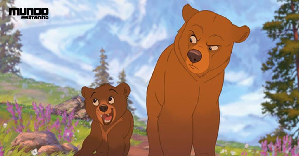 Como (talvez) sobreviver a um encontro com um urso