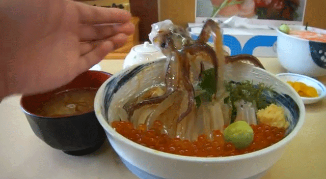 Prato do dia: comida viva