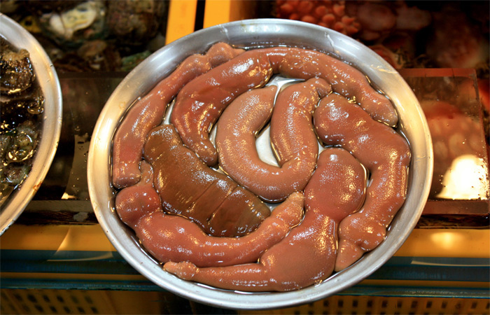 Peixe-pênis é comida luxuosa na Ásia