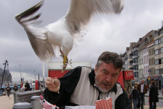 Restaurante equipa clientes com armas de água para espantar gaivotas abusadas 1