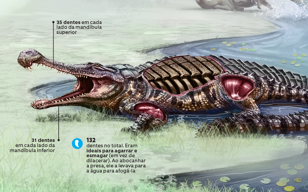 Como era a anatomia de um crocodilo gigante?