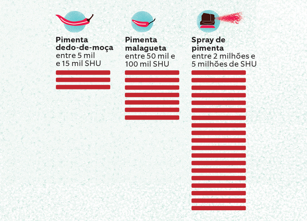 Spray de pimenta 2