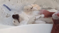 Hoje é sexta-feira
