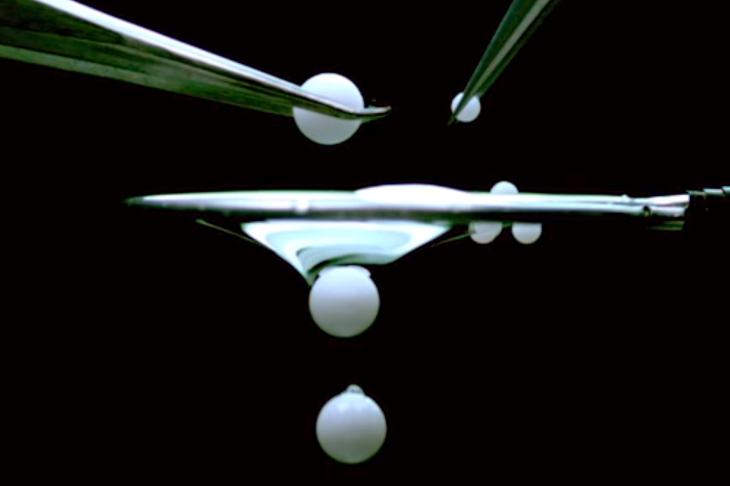 A privada que deixa o cocô entrar, e impede o cheiro de sair