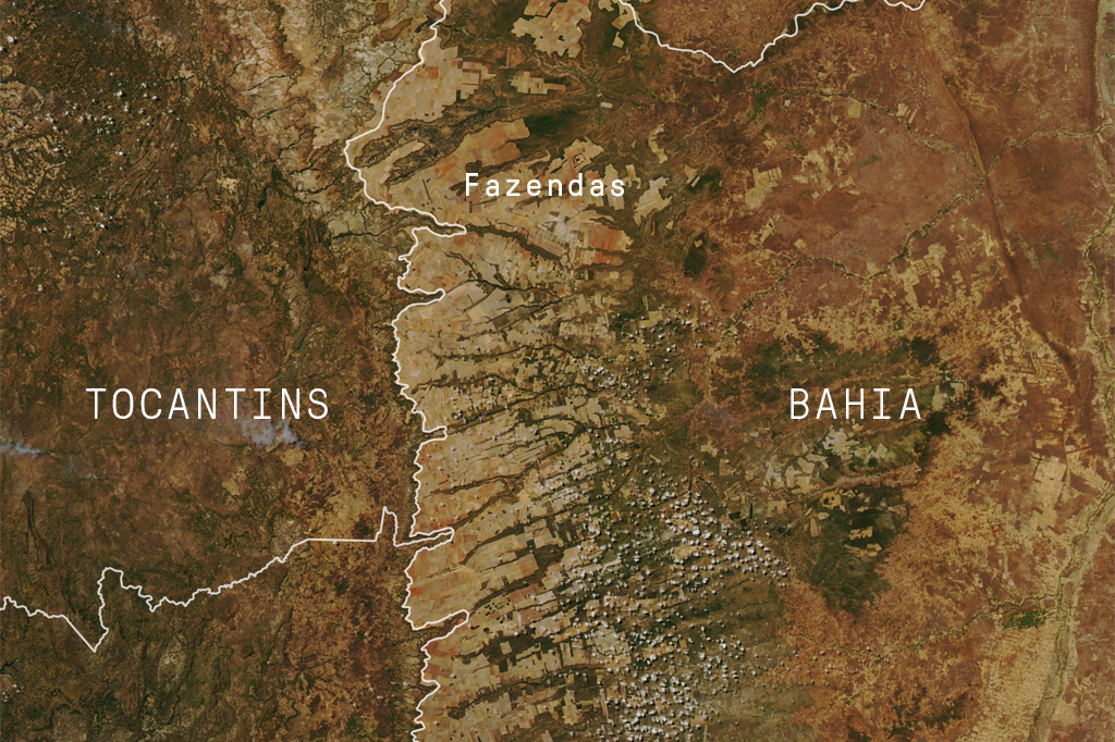 O avanço da soja no cerrado brasileiro, mapeado pela Nasa