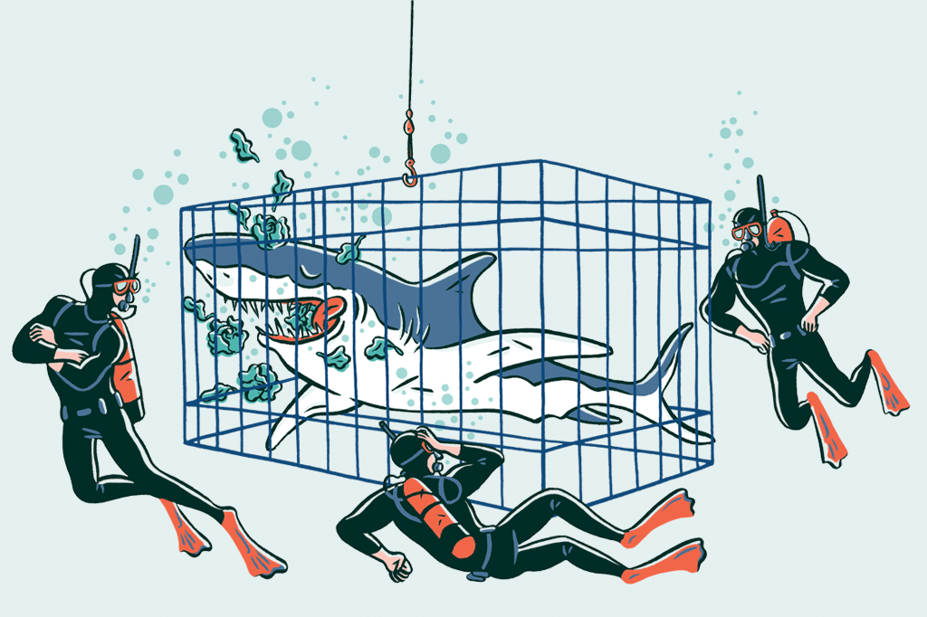 Vegetarianismo está na moda – até no mar