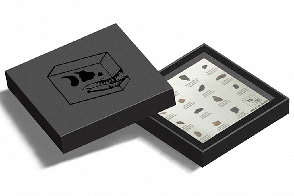 Jurassic Block Jurassic Block