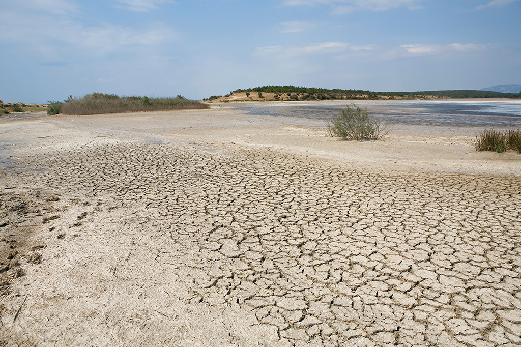 Mapa indica locais com mais chances de haver disputas por água