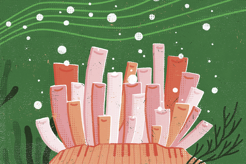 Algas produzem som – e formam orquestra no fundo do mar