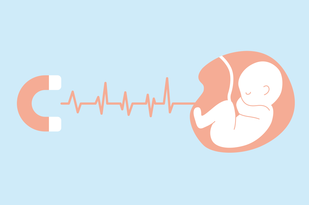Como usar física quântica para monitorar coração de fetos – sem tocá-los