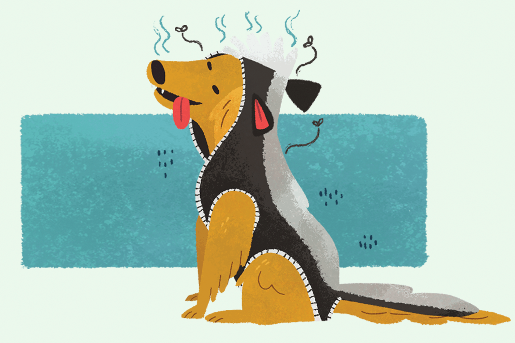 Existe uma raça de cachorro mais fedida do que as outras?