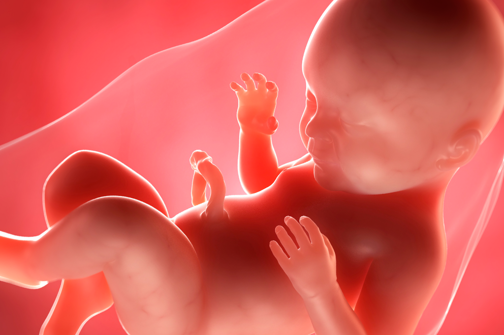 Bebê brasileiro nasceu de um útero transplantado de uma falecida