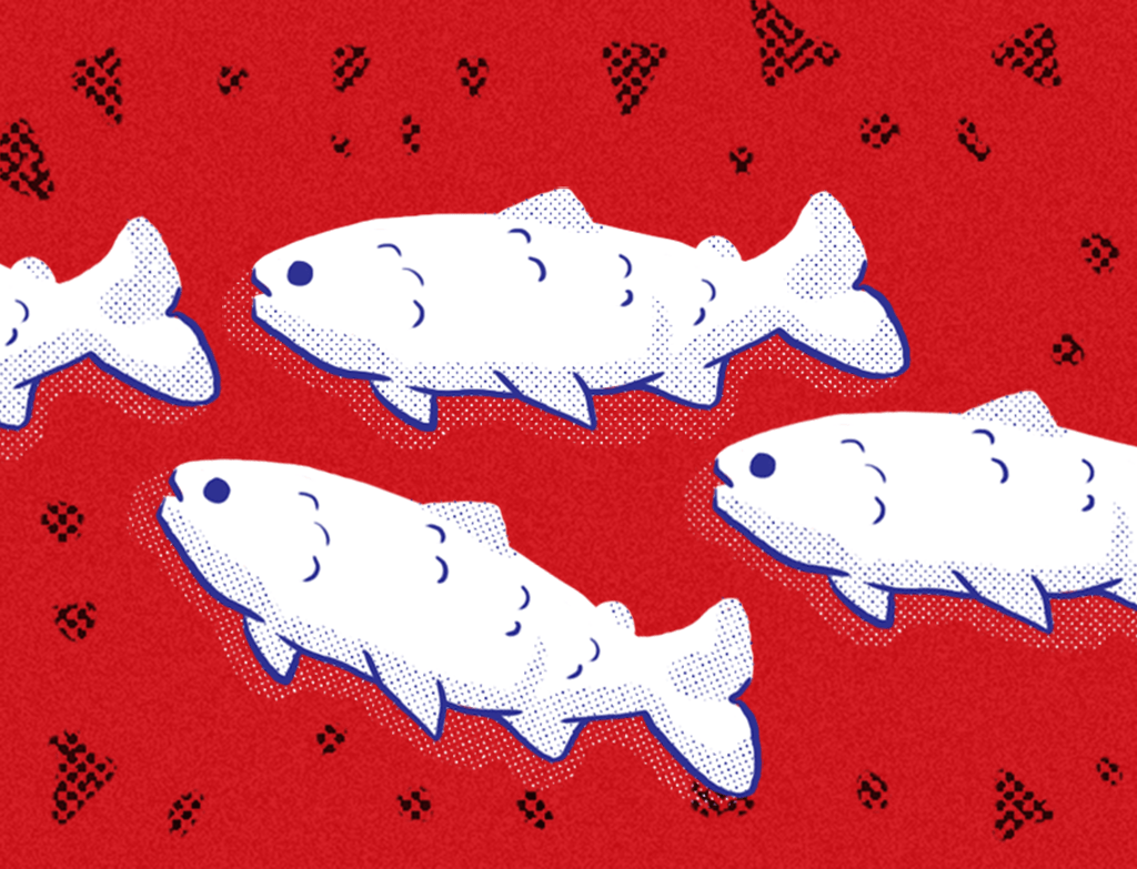 Respostas newsletter