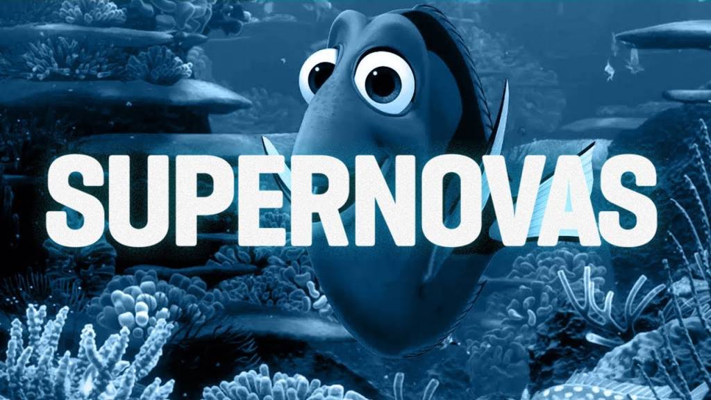 Baleias são gênios da música – SUPERNOVAS