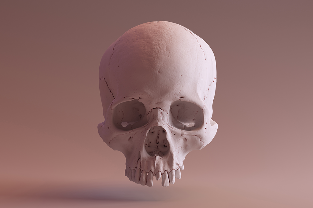 Rosto humano foi moldado de acordo com nossas necessidades sociais, diz estudo