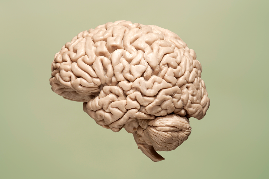 Novo implante converte sinais do cérebro em fala