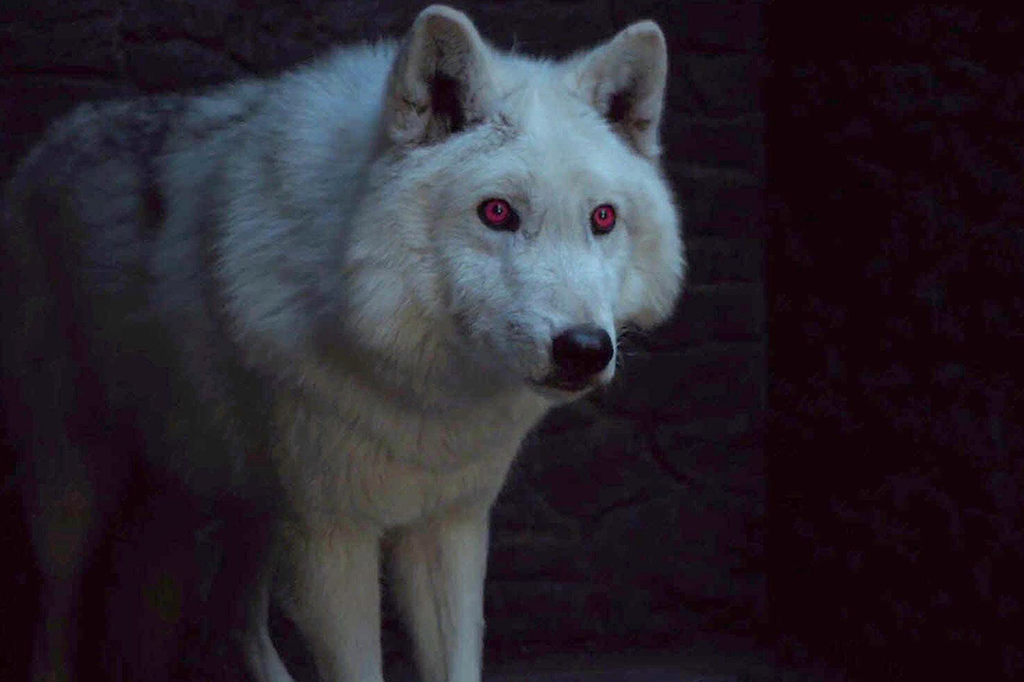 Game of Thrones dobrou número de huskies siberianos abandonados
