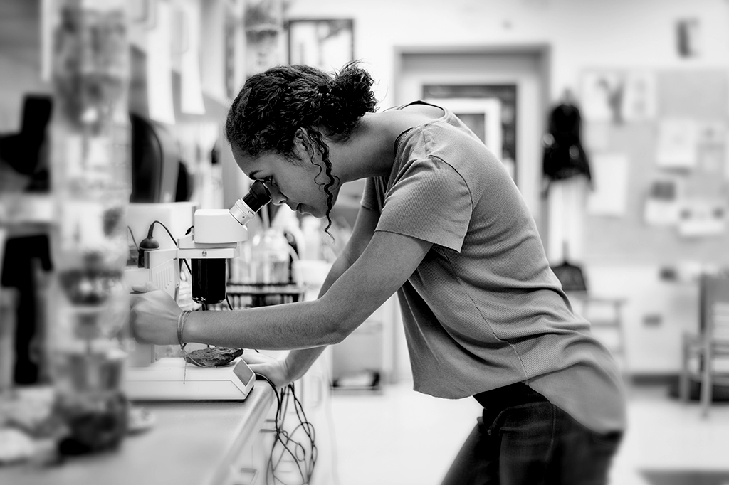 Os cortes de orçamento vão sufocar (ainda mais) a ciência brasileira