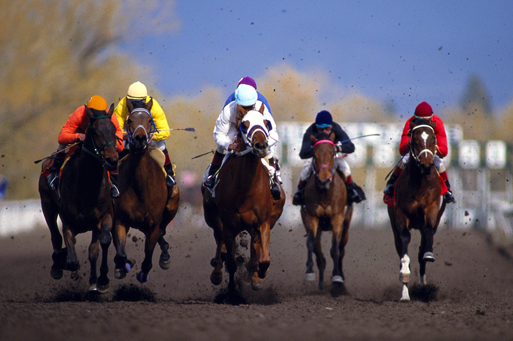Como funciona um hipódromo?
