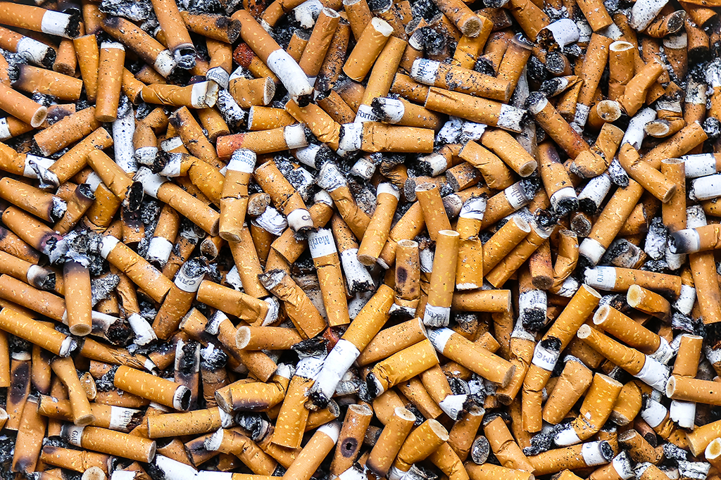 Bitucas de cigarro prejudicam o crescimento das plantas