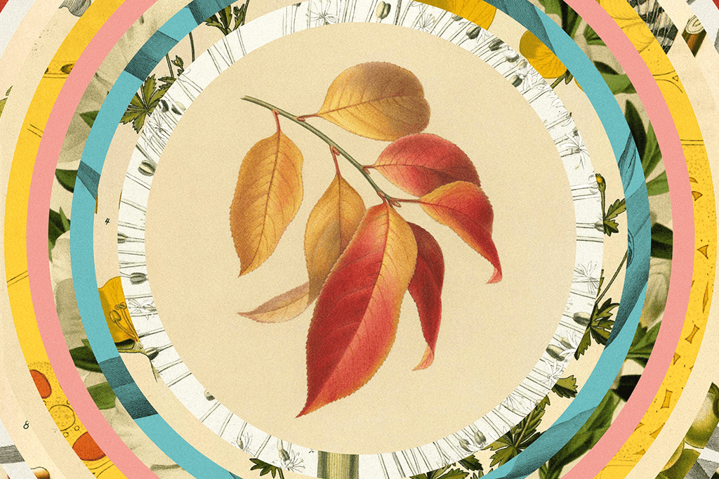 Como a engenharia se inspira na natureza