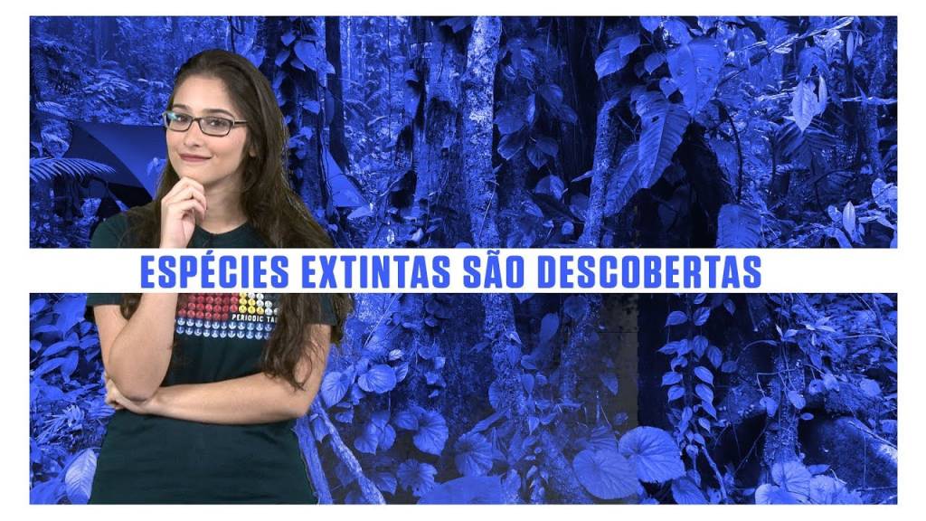 Espécies extintas são descobertas vivas em expedição até “cidade perdida”