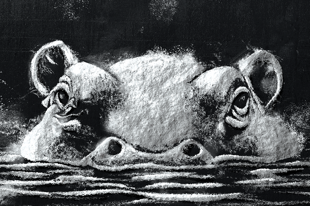 Os hipopótamos de Pablo Escobar