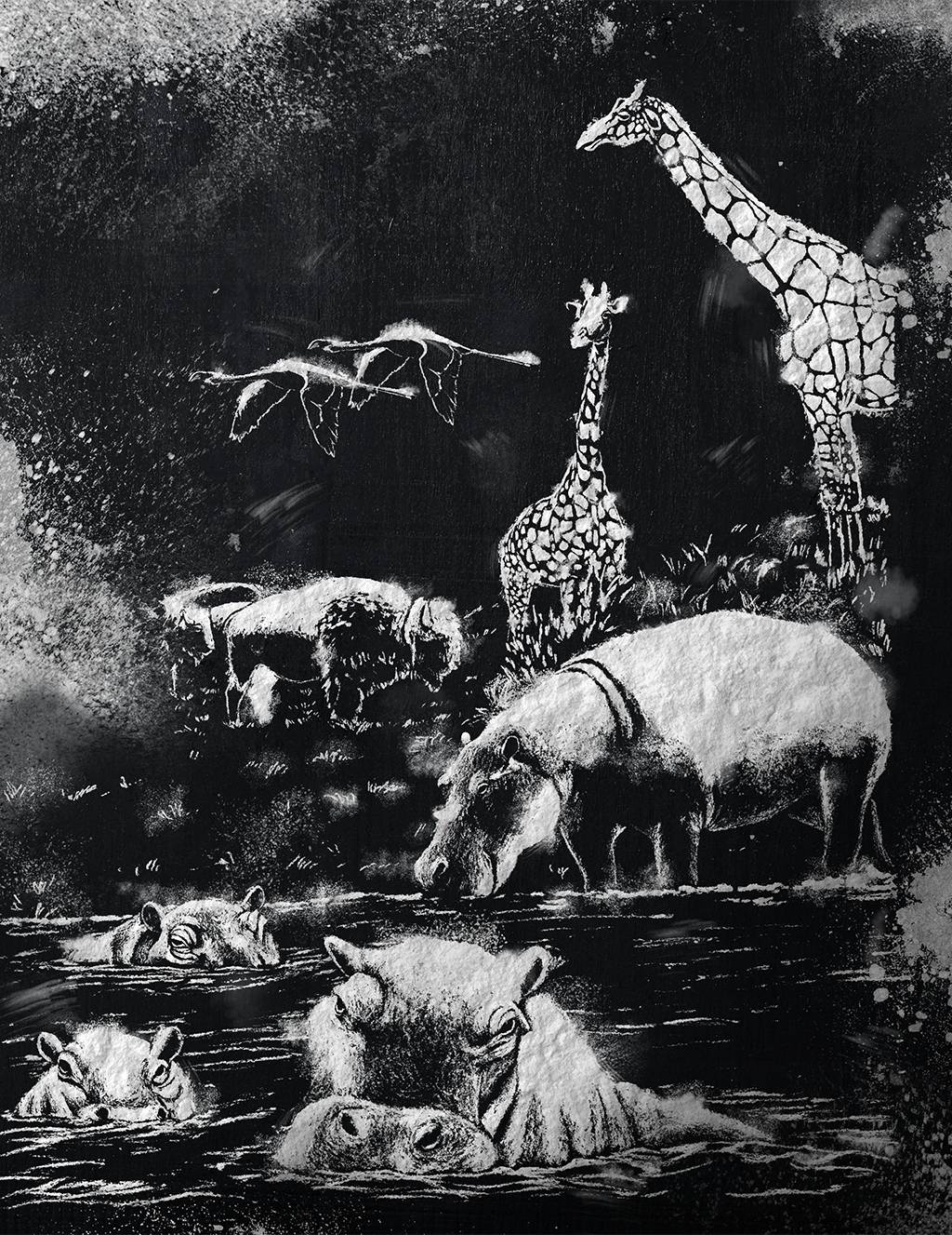 Pablo chegou a manter 1.200 espécies em sua fazenda.