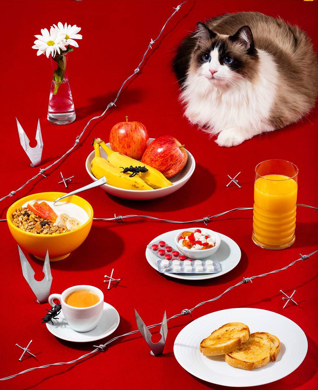 Em 50% das mortes por picada de inseto, a vítima não tem histórico de reações anteriores