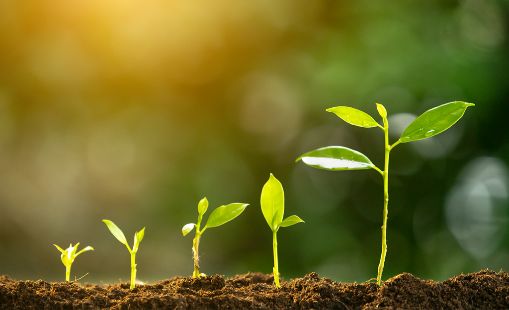 Todos os seres vivos usam os mesmos 20 aminoácidos. Este é o porquê.