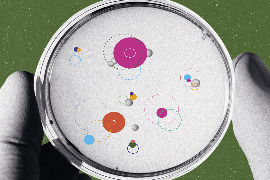 5 contribuições de pesquisadores africanos à ciência