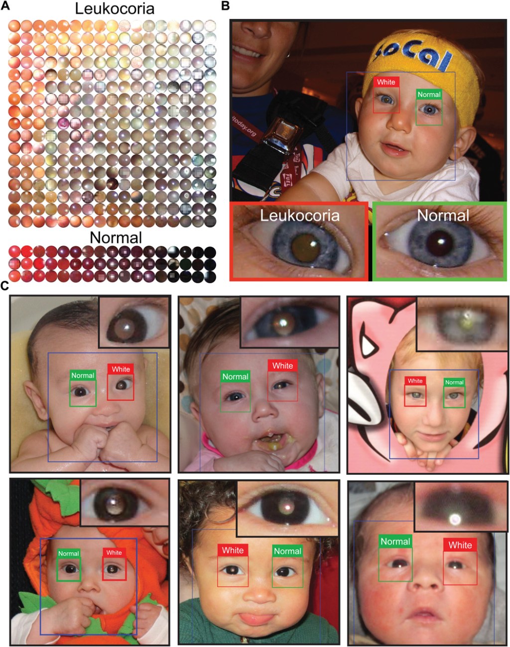 Figure 2 Figure 2