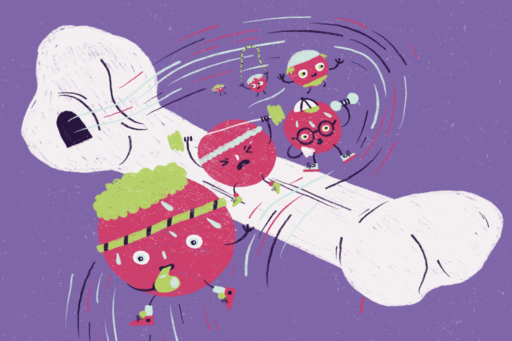 Hormônio da reação de “fuga ou luta” vem dos ossos