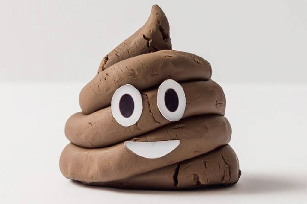 Cientistas querem fotos do seu cocô – para ajudar pessoas “enfezadas”