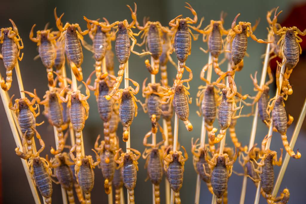 Vai viajar? Leve seu estômago junto