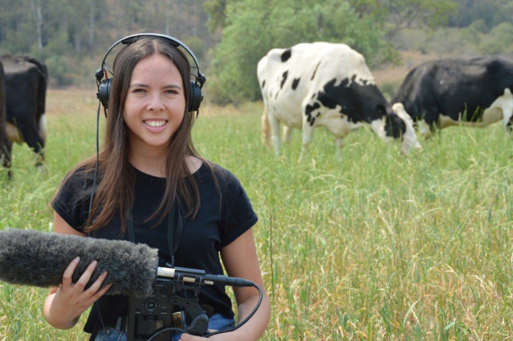 Lynne Gardner_University of Sydney_reproducao_vacas_comunicacao