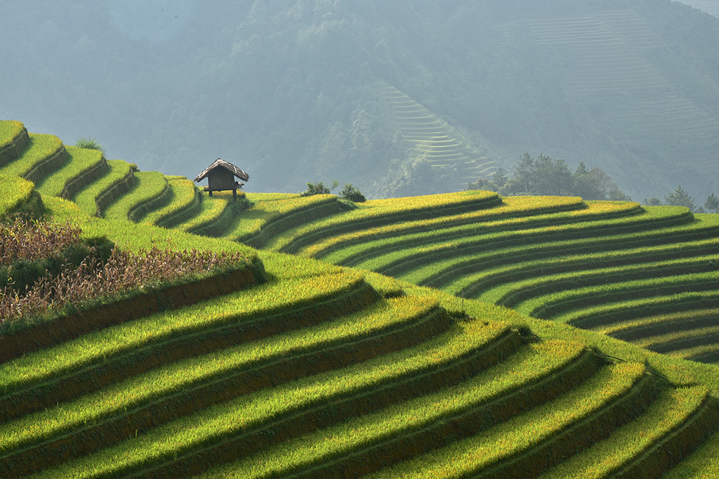 Se operasse de forma sustentável, agropecuária atual só alimentaria 3,4 bilhões de pessoas, diz estudo