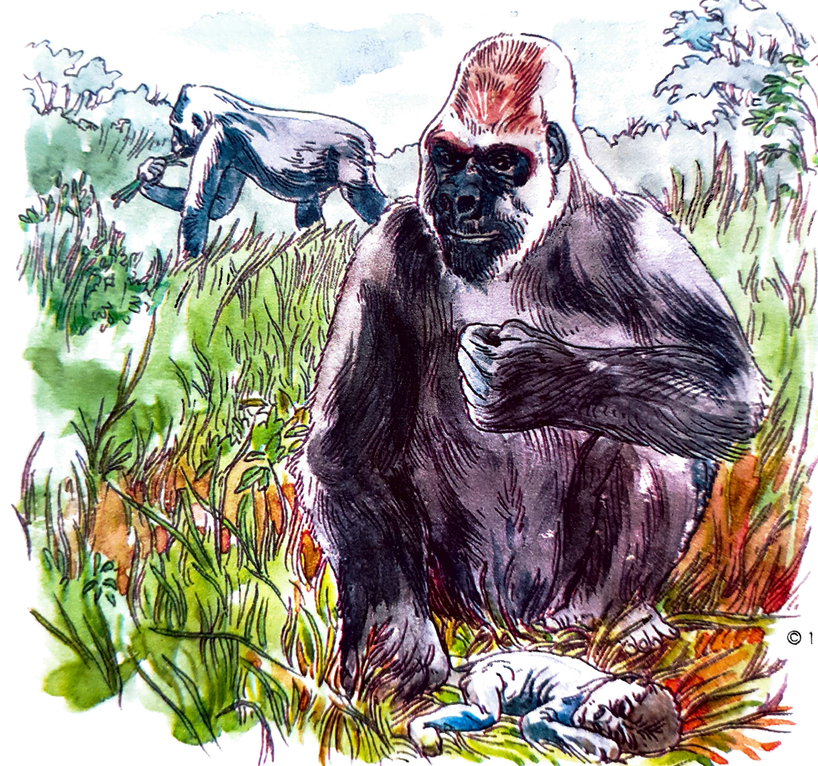 Paulo_Nilson_superinteressante_2