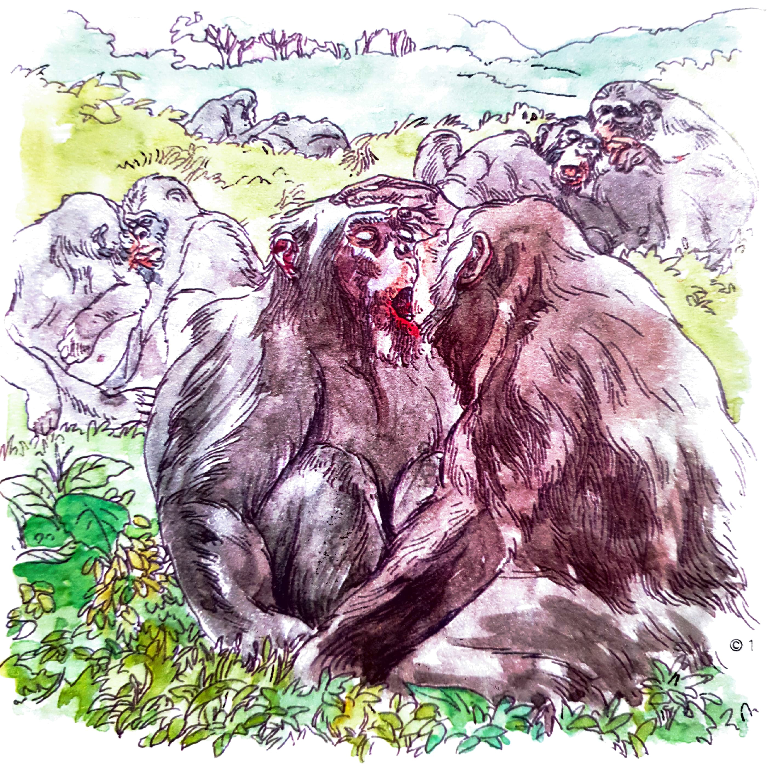 Paulo_Nilson_superinteressante_3