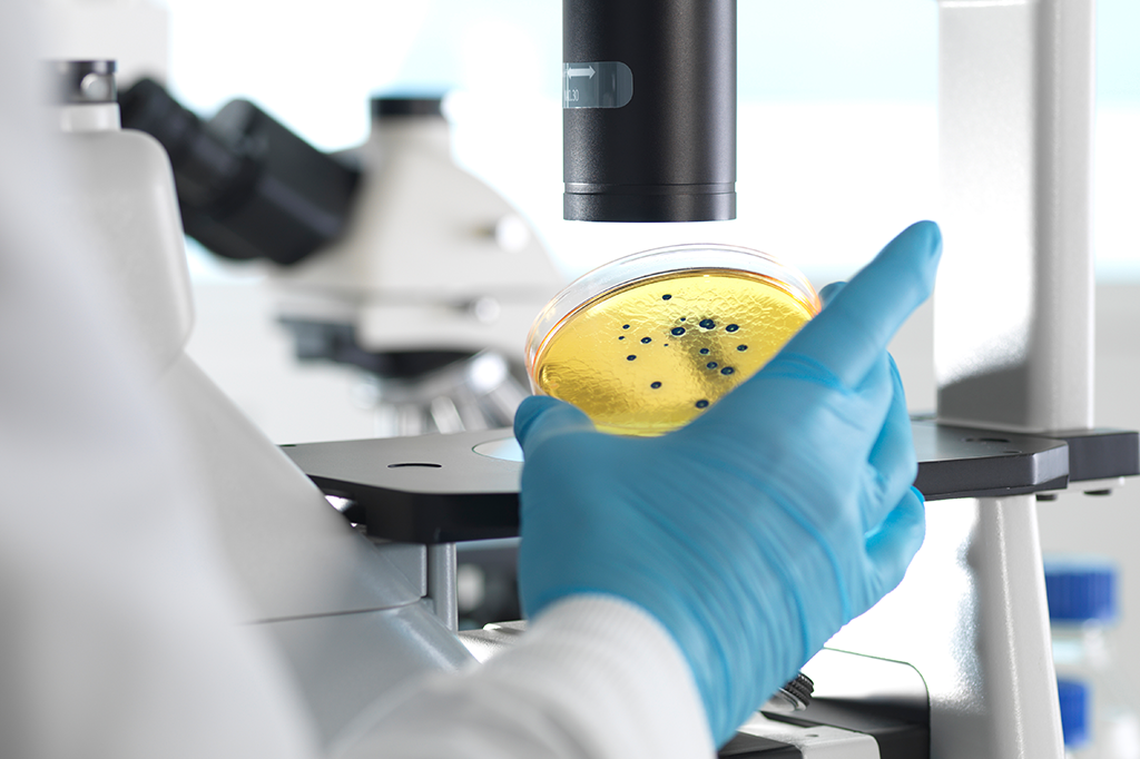 Conspiração e remédio da malária: biólogo esclarece notícias sobre Covid-19