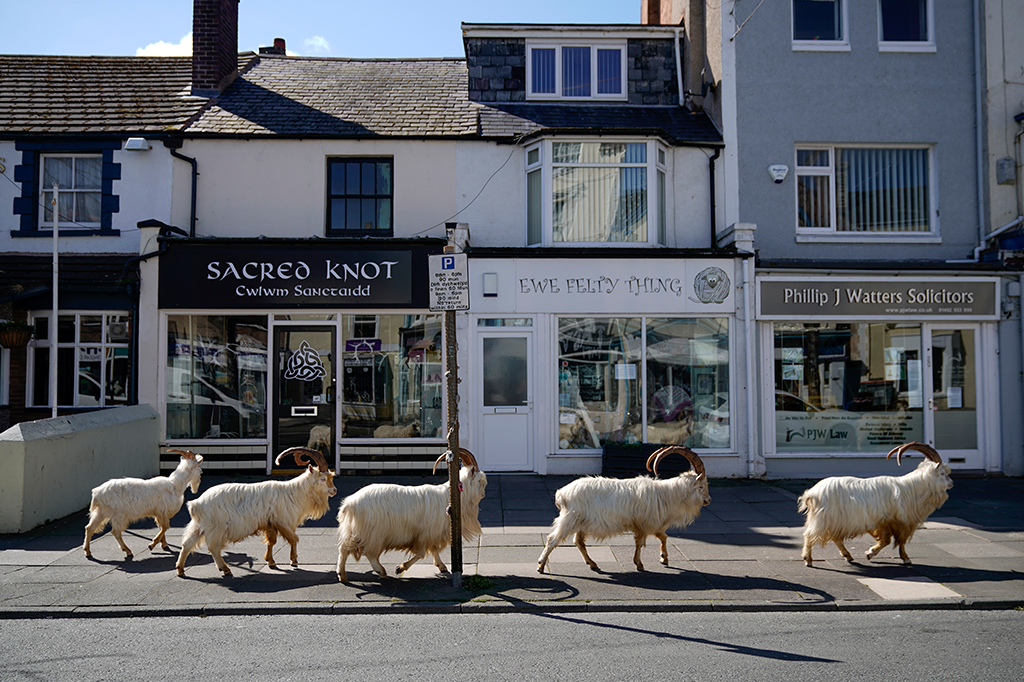 Dia da Terra: como o coronavírus mudou o planeta