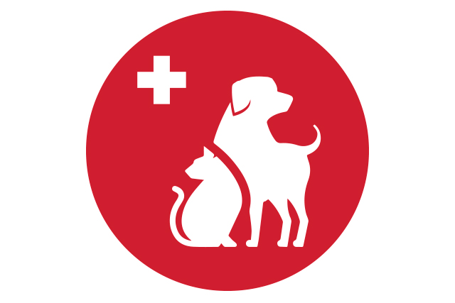 SI_MundoCao_Gadgets_6