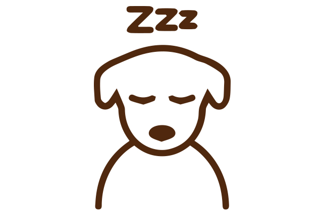 SI_MundoCao_emocoes_9