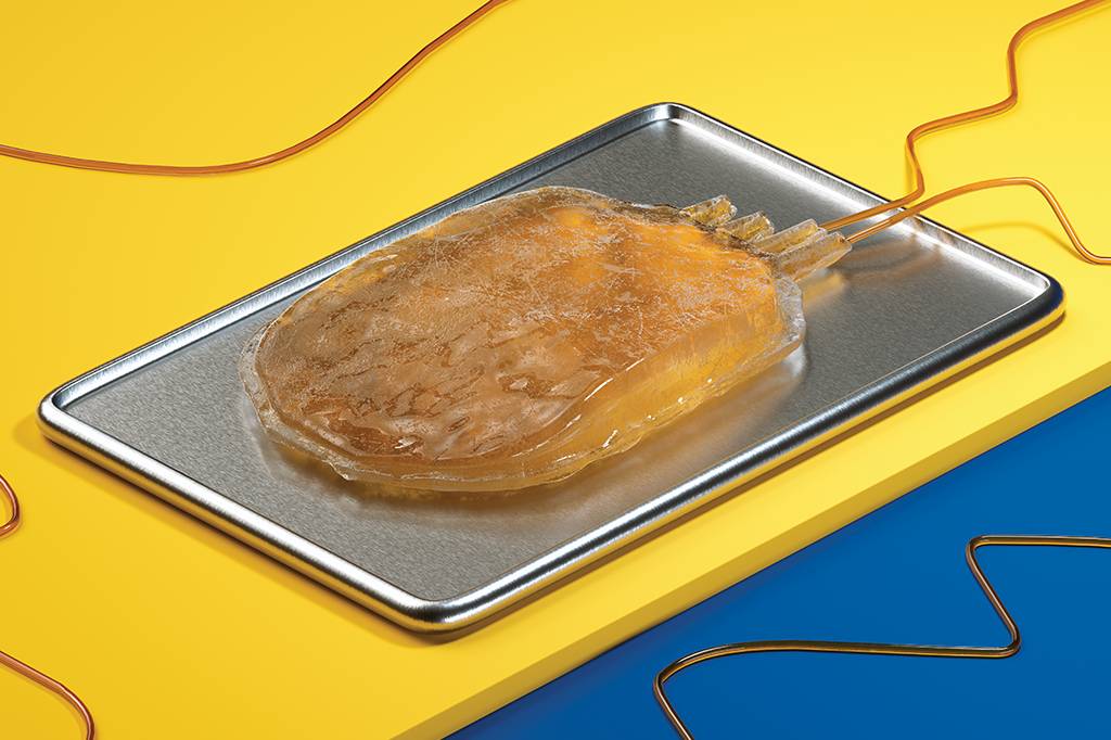 Os transplantes de plasma são uma técnica antiga, que precede os antibióticos – e aproveita os anticorpos de quem já se curou da doença.